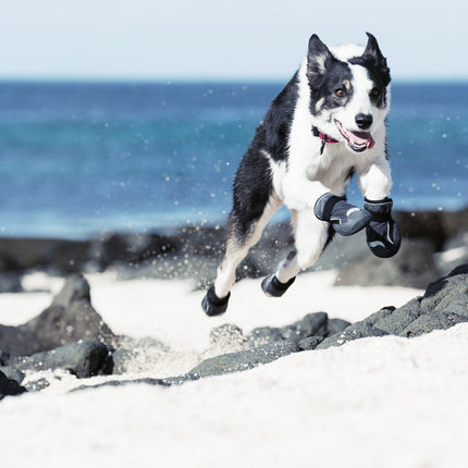 AnimalstoreXL Outbackboots Zwart S Pak a 2 stuks