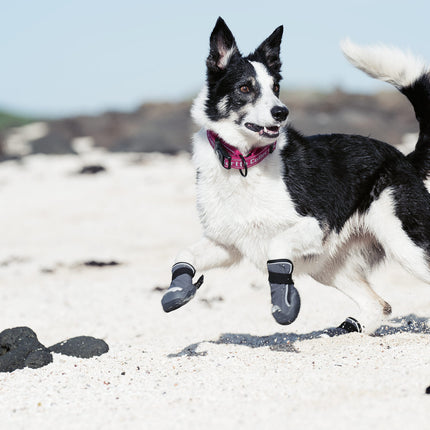 AnimalstoreXL Outbackboots Zwart S Pak a 2 stuks