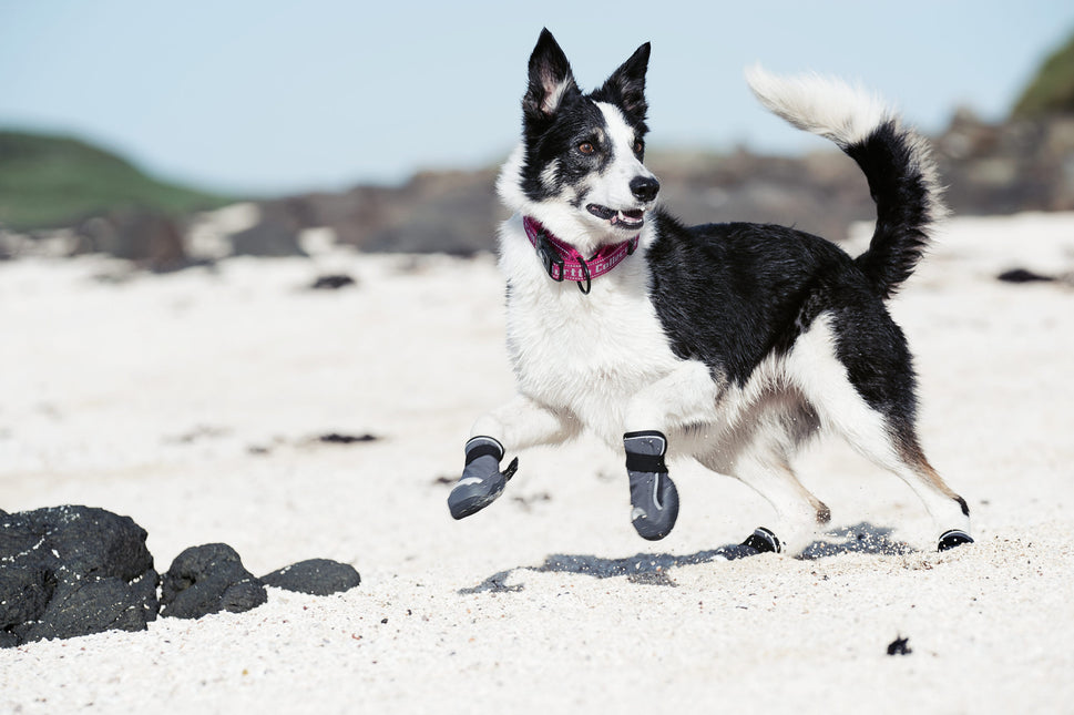 AnimalstoreXL Outbackboots Zwart S Pak a 2 stuks