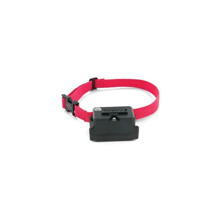 Petsafe Halsband Super Pig19-10763