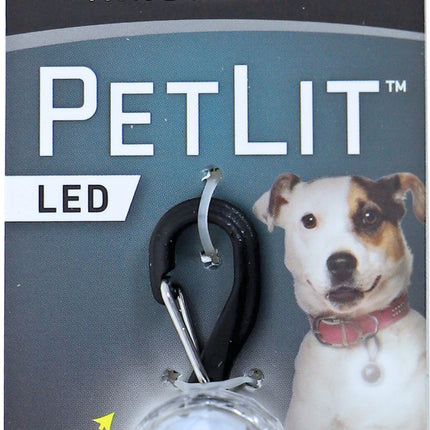 AnimalstoreXL Pet Lit halsband lamp