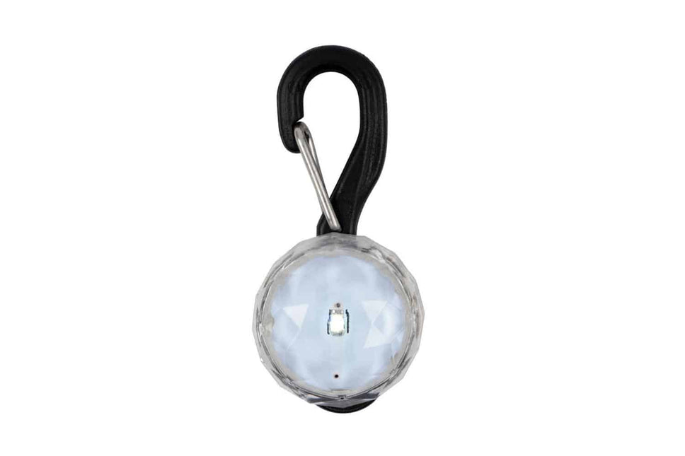 Pet Lit Collar Lamp