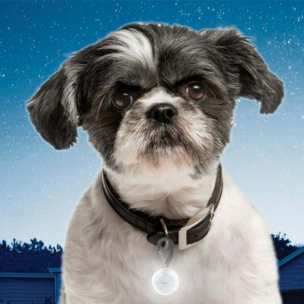 Pet Lit Collar Lamp