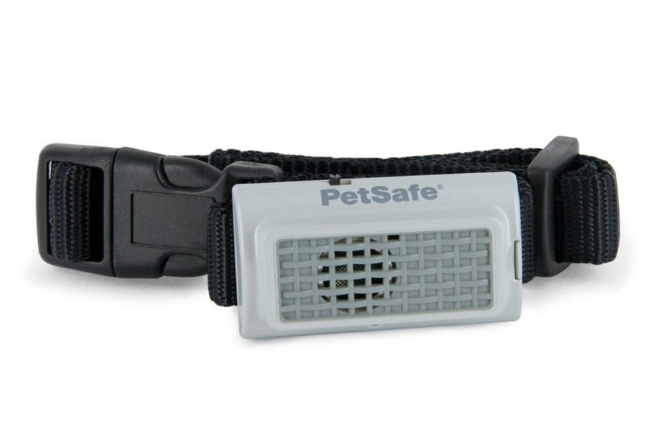 AnimalstoreXL Petsafe Antiblafband Us