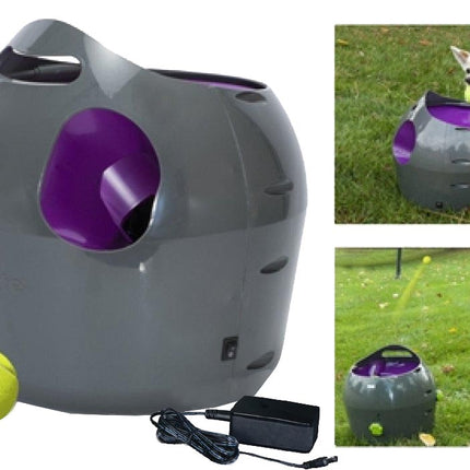 AnimalstoreXL Petsafe Automatic Ball Launcher