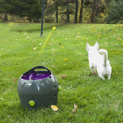 AnimalstoreXL Petsafe Automatic Ball Launcher