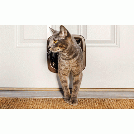 Petsafe Kattendeur Handm. 4Lock Bruin Ppa