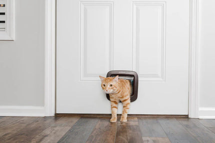 Petsafe Kattendeur Handm. 4Lock Bruin Ppa