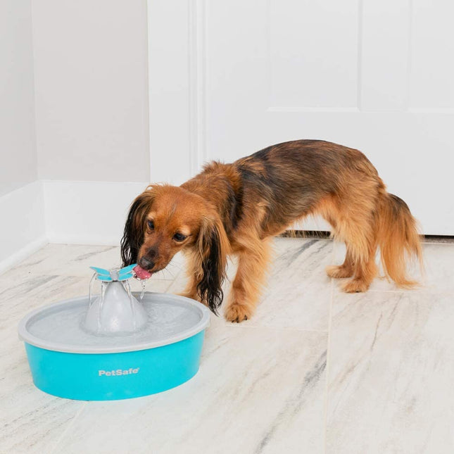 AnimalstoreXL Petsafe Drinkfontein Butterfly 1,5 liter