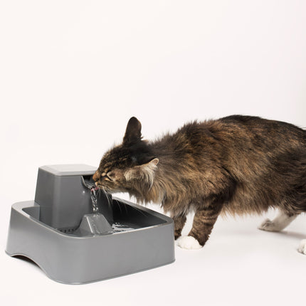 AnimalstoreXL Petsafe Drinkfontein Drinkwell 1,8 liter