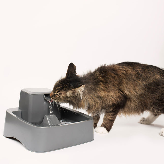 AnimalstoreXL Petsafe Drinkfontein Drinkwell 1,8 liter