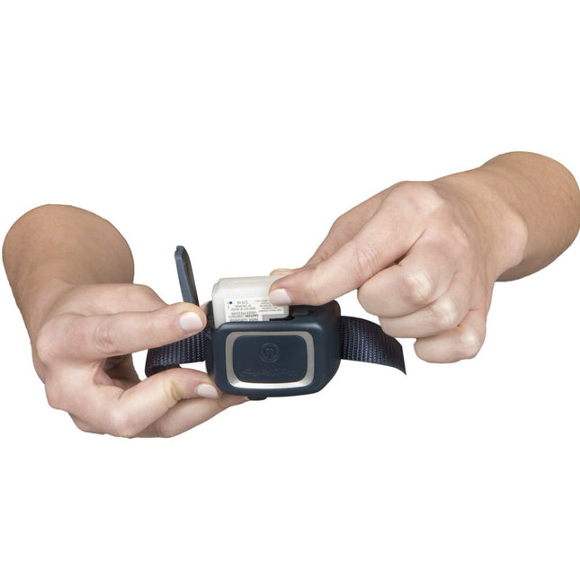 Petsafe Trainer met Spray 300 meter