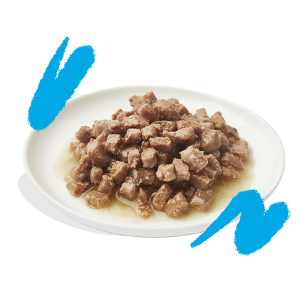 AnimalstoreXL Edgard & Cooper Kat Stukjes-in-saus Zalm & Scharrelkip Graanvrij