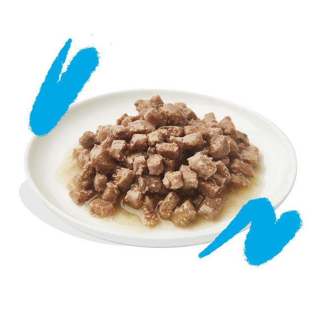 AnimalstoreXL Edgard & Cooper Kat Stukjes-in-saus Zalm & Scharrelkip Graanvrij