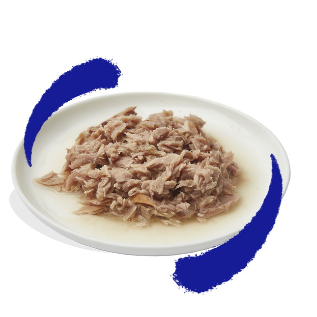 AnimalstoreXL Edgard & Cooper Kat Tonijnfilets Naturel Graanvrij