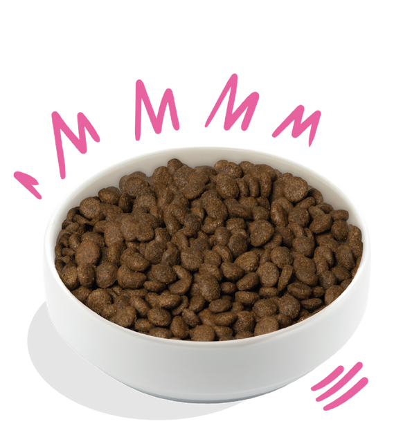 AnimalstoreXL Edgard & Cooper Plantaardige Brok Volwassen Hond Rode Biet & Pompoen