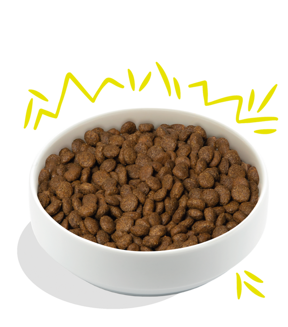 AnimalstoreXL Edgard & Cooper Plantaardige Brok Volwassen Hond Wortel & Courgette