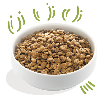 AnimalstoreXL Edgard & Cooper Brok Volwassen Hond Lam Graanvrij