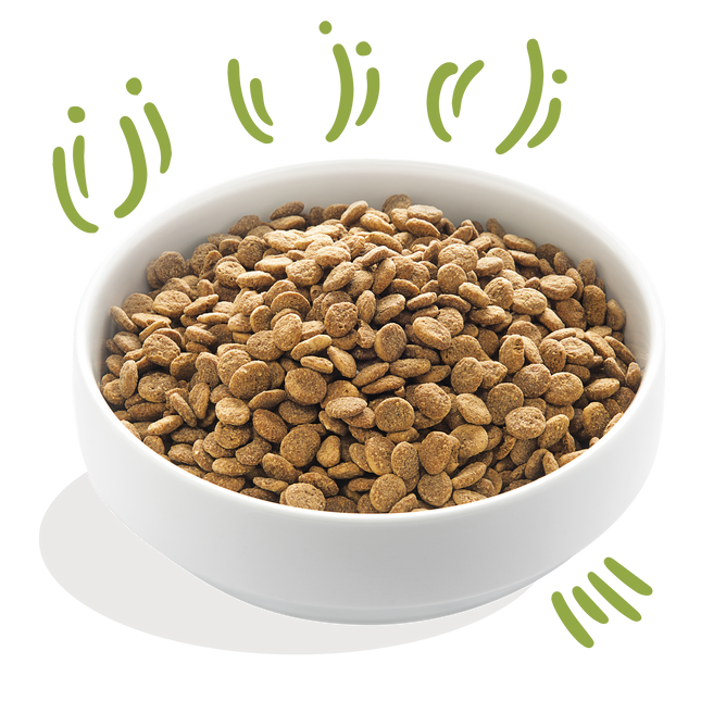 AnimalstoreXL Edgard & Cooper Brok Volwassen Hond Lam Graanvrij