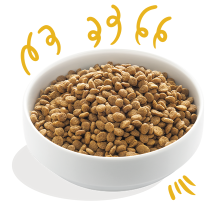 AnimalstoreXL Edgard & Cooper Bio Brok Volwassen Hond Kalkoen & Kip Glutenvrij