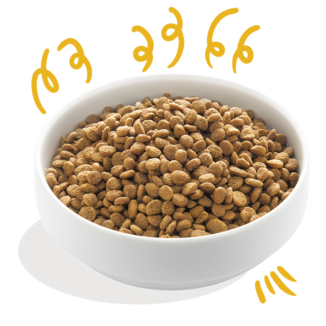 AnimalstoreXL Edgard & Cooper Bio Brok Volwassen Hond Kalkoen & Kip Glutenvrij