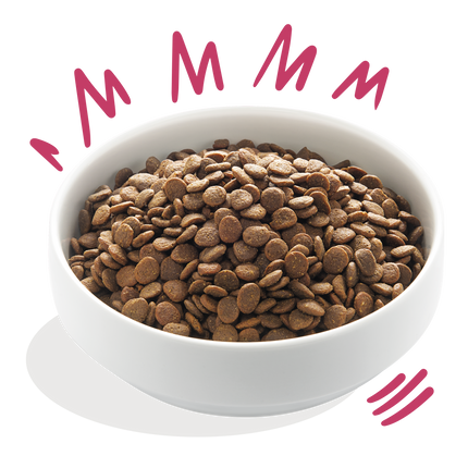 AnimalstoreXL Edgard & Cooper Brok Volwassen Hond Hert & Scharreleend Graanvrij