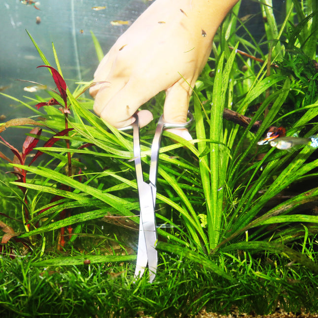 AnimalstoreXL Proscape Tool S30 Gebogen Snoeischaar