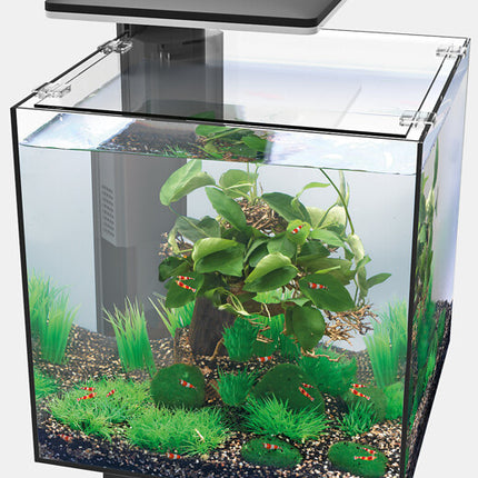 AnimalstoreXL Qubiq 30 Pro Zwart