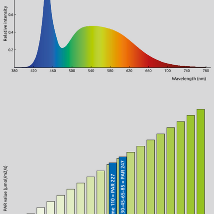AnimalstoreXL Qubiq 30 Pro Zwart