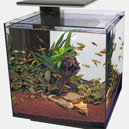 AnimalstoreXL Qubiq 60 Pro Zwart