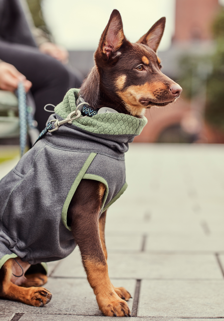 AnimalstoreXL Razz Daz Midlayer Jacket Bkb 60cm