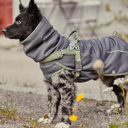 AnimalstoreXL Razz Daz Midlayer Jacket Bkb 60cm