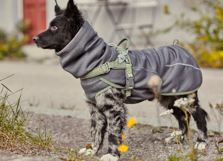 AnimalstoreXL Razz Daz Midlayer Jacket Bkb 60cm