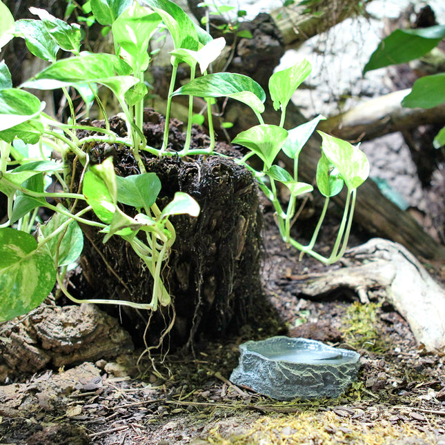 AnimalstoreXL ReptilBar Grijs L Waterschaal