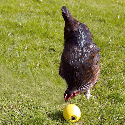 AnimalstoreXL Savic Snackbal Chickenfun Geel 7.5cm