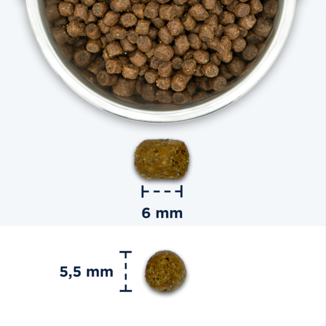 AnimalstoreXL Eukanuba Kattenbrokken Kitten Verse Kip 2kg