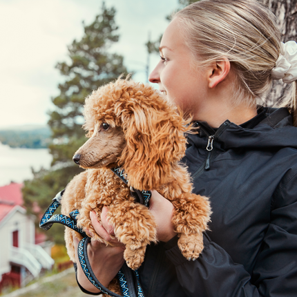 AnimalstoreXL Leash Stand.Raz Dz Blkb 1.5/180cm 933959