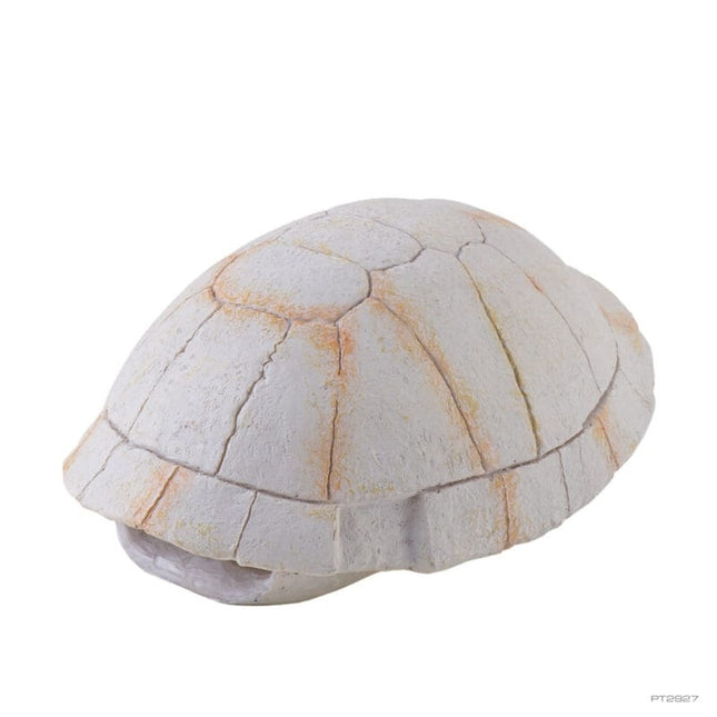 AnimalstoreXL Schildpadskelet