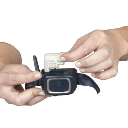 Petsafe Antiblafband met Spray