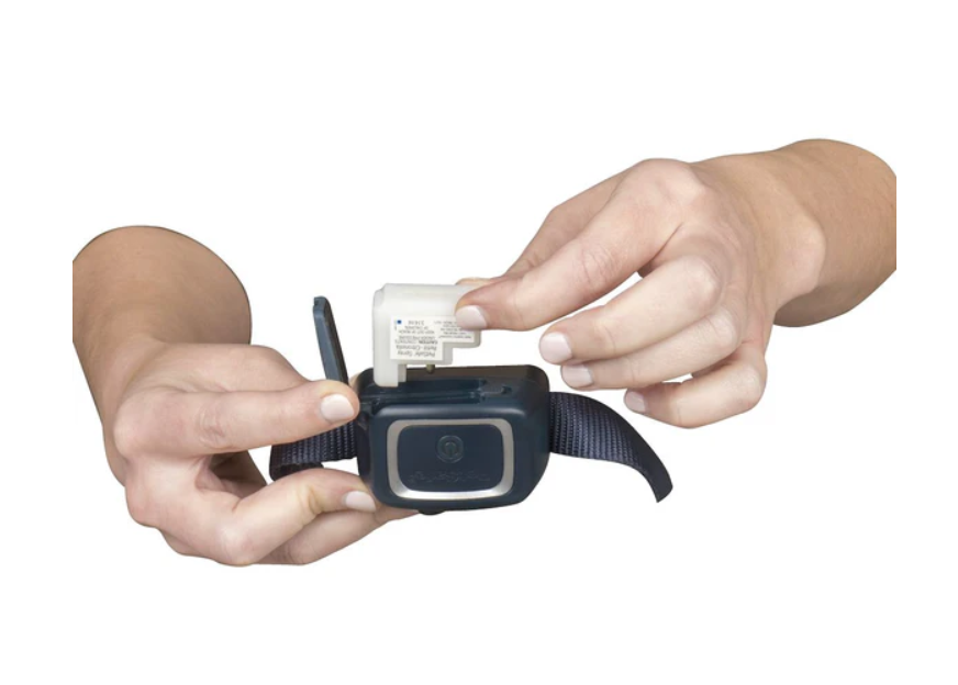 Petsafe Antiblafband met Spray