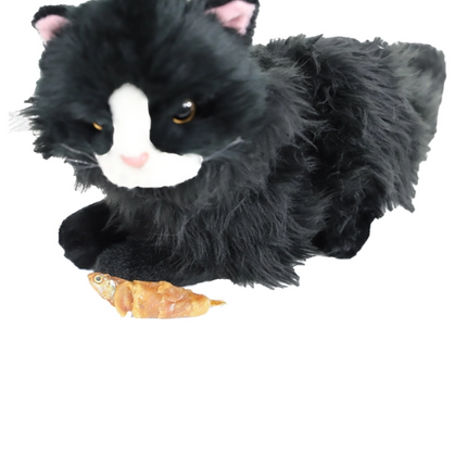 Ansjovis met Kip Gedroogd 100g