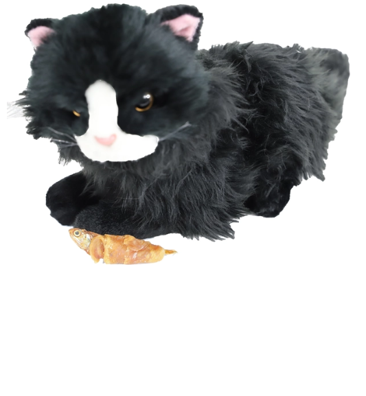 Ansjovis met Kip Gedroogd 100g