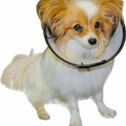 AnimalstoreXL Smart Collar Kraag Plastic Hond Nr 1 18-24cm