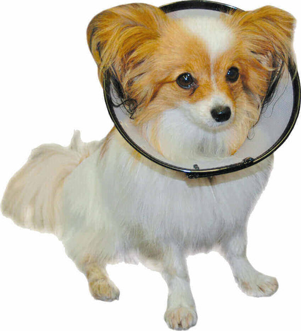 AnimalstoreXL Smart Collar Kraag Plastic Hond Nr 1 18-24cm