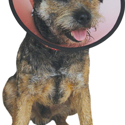 AnimalstoreXL Smart Collar Kraag Plastic Hond Nr 2 23-30cm