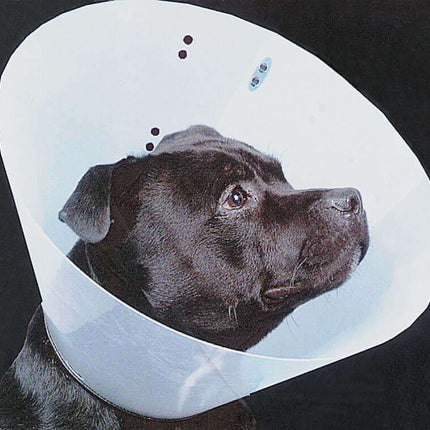 AnimalstoreXL Smart Collar Kraag Plastic Hond Nr 1 18-24cm