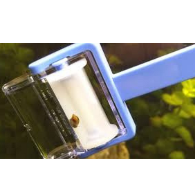 Snail catcher