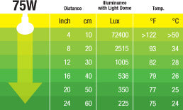 AnimalstoreXL Swamp Basking Spot R20 75W