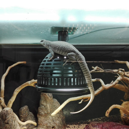 AnimalstoreXL TempProtect II Light M Hittebeschermer