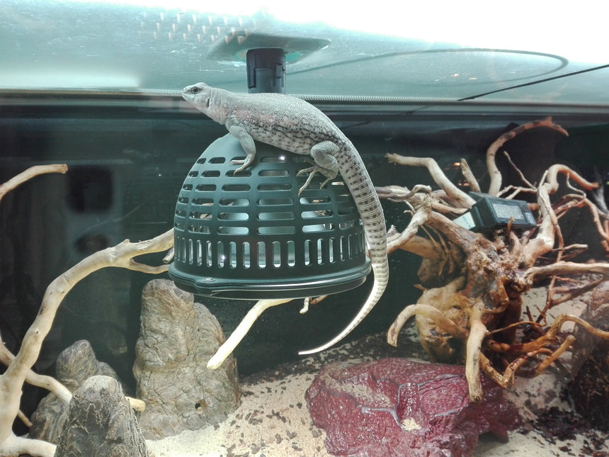 AnimalstoreXL TempProtect II Light M Hittebeschermer